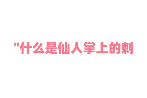 "什么是仙人掌上的刺？它们有什么功能？"